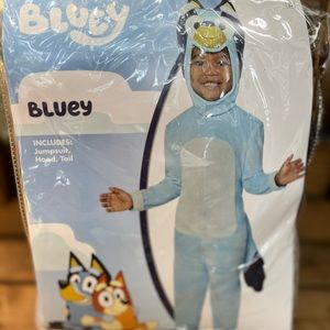 Bluey Costume